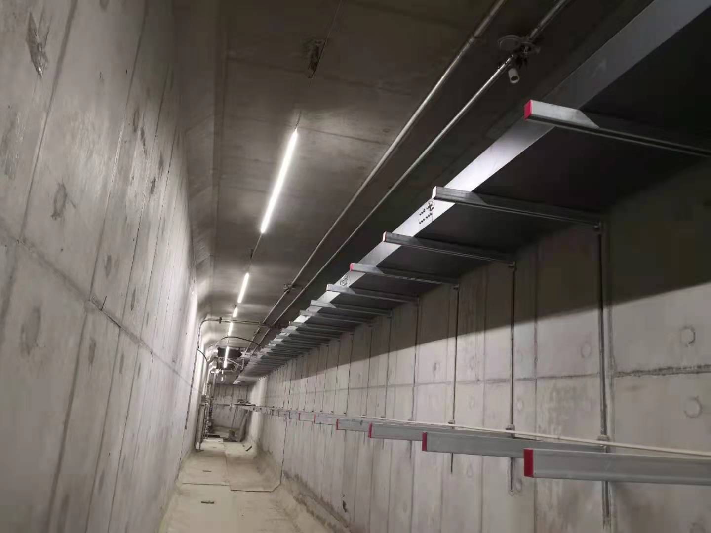 IMG_4586(20210819-210919).JPG IMG_4586(20210819-210919).JPG